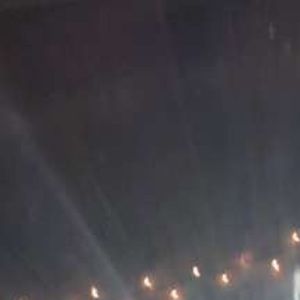 Meet your Posher, Bella